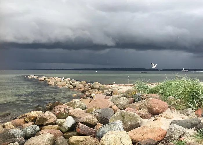 Seaside - Sandy Gold *